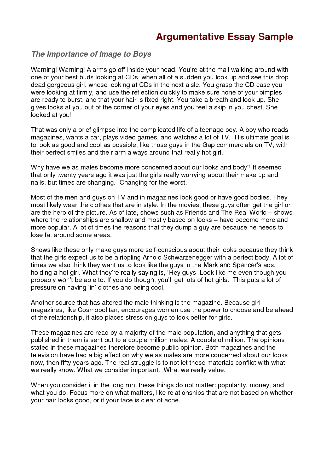 how to write an argumentative essay sample