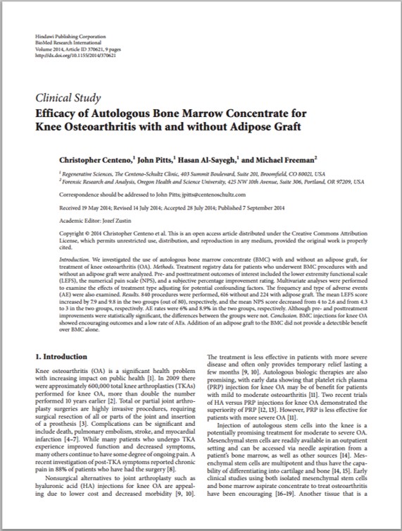 Phd thesis monograph