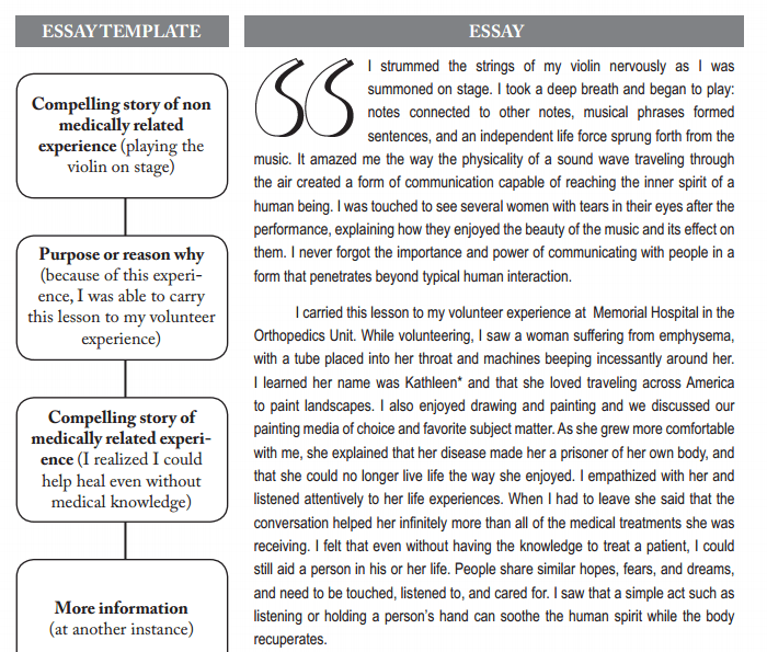 speeches sports essays on modern education system