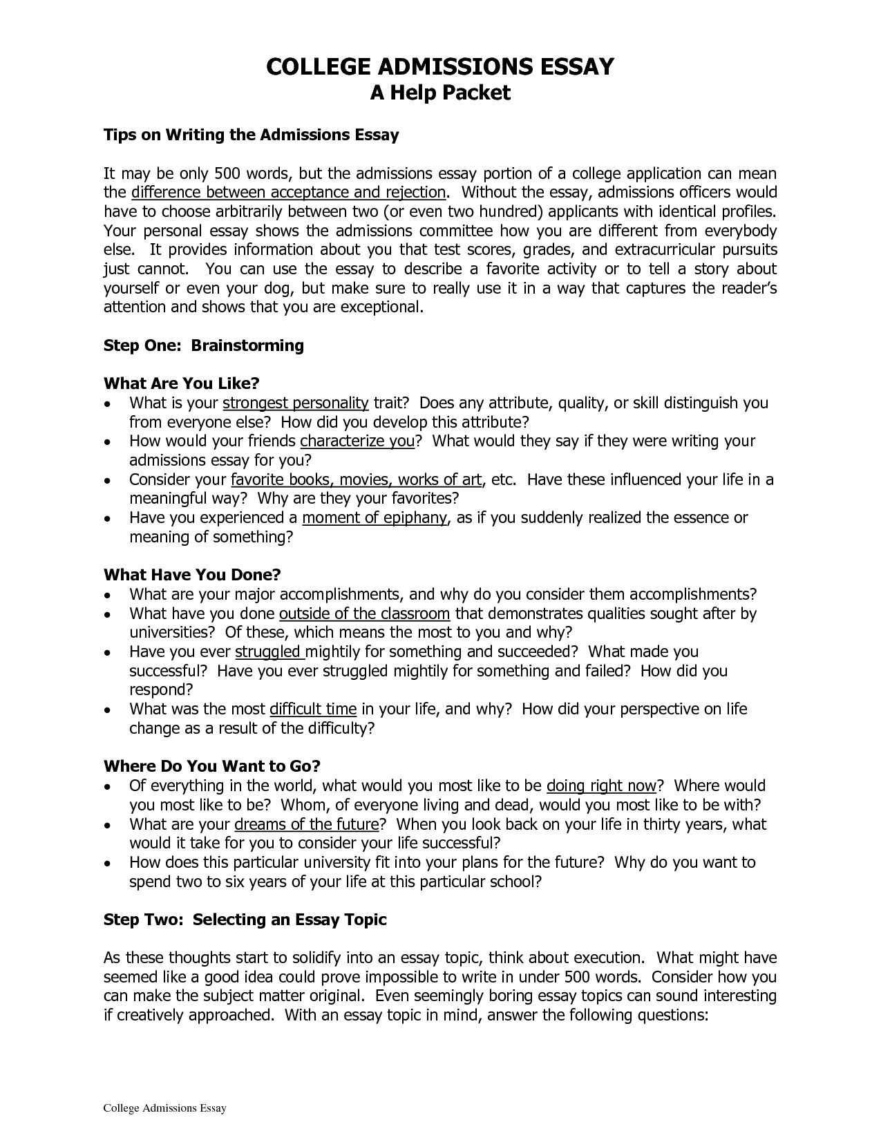 Example Of Admission Essay