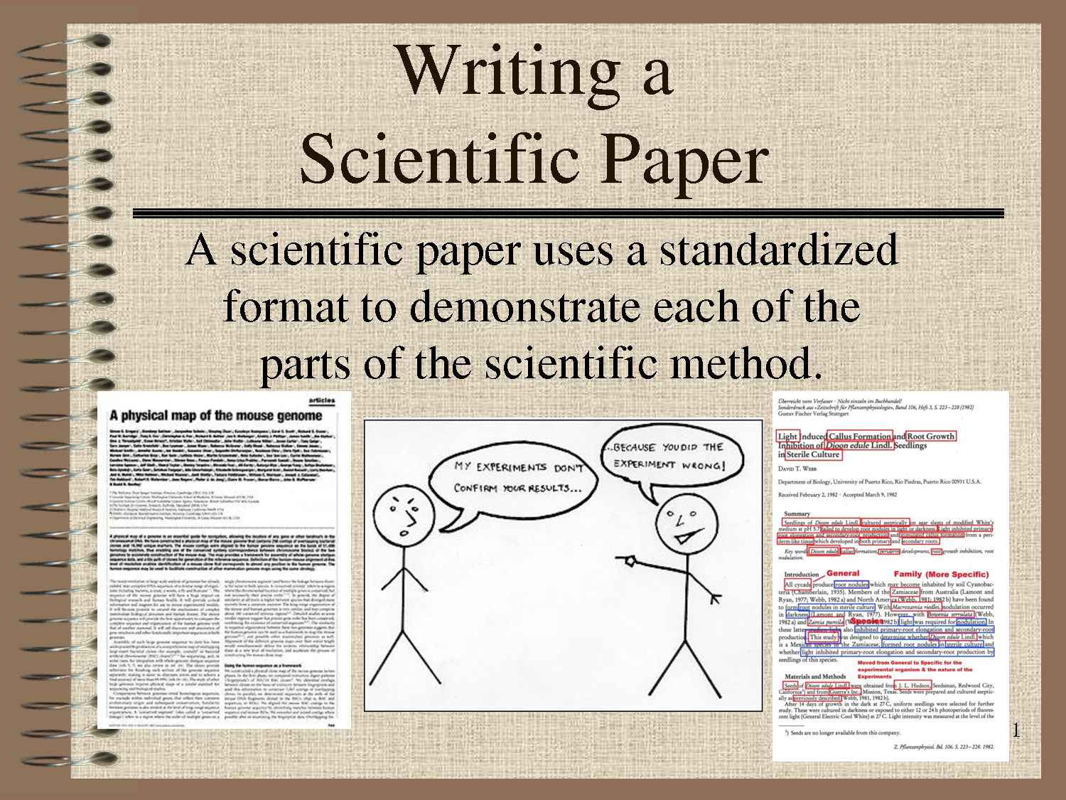 A scientific research paper